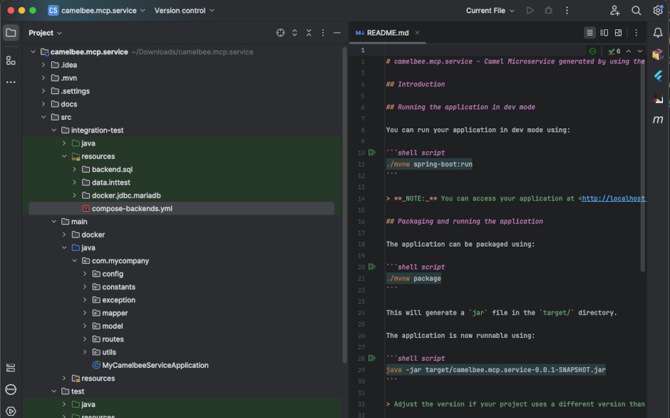 Generate and download project